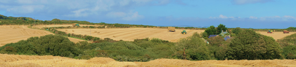Harvest time around Anjarden Aug 2011